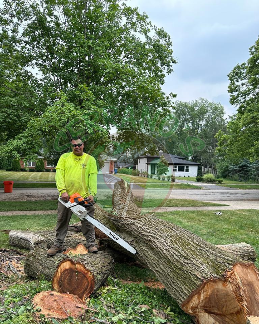 Serranos_TreeRemoval2